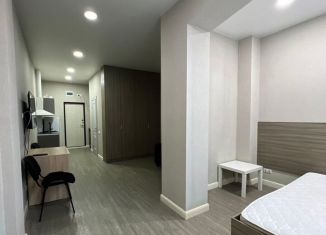 Продается 1-комнатная квартира, 33 м2, Сочи, Клубничная улица, 62, микрорайон Новый Сочи