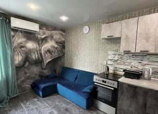 Продается 2-комнатная квартира, 40.8 м2, рабочий посёлок Краснообск, рабочий посёлок Краснообск, 245