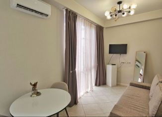 Сдам в аренду квартиру студию, 26.4 м2, Сочи, Пластунская улица, 108