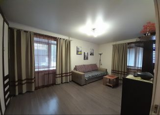 Аренда однокомнатной квартиры, 32 м2, Мурманск, улица Софьи Перовской, 37