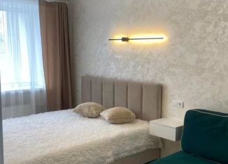 Аренда 1-комнатной квартиры, 36 м2, Татарстан, улица Маршала Чуйкова, 38