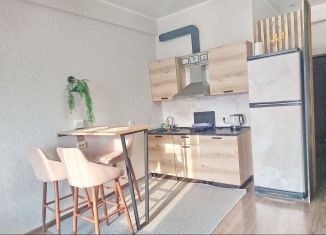 Аренда квартиры студии, 30.1 м2, Сочи, улица Метелёва, 23