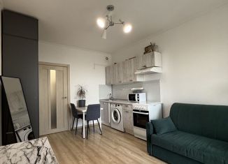 Продажа квартиры студии, 20.3 м2, Мурино, Воронцовский бульвар, 14к1, ЖК Краски Лета