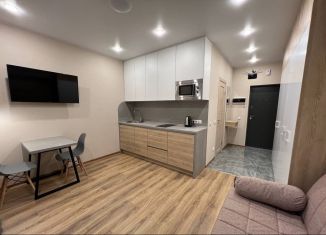 Продажа квартиры студии, 20.3 м2, Санкт-Петербург, Планерная улица, 97к1