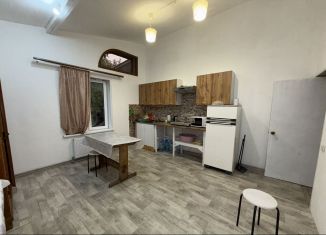 Сдается в аренду дом, 50 м2, Нижегородская область, улица Льва Толстого