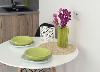 Сдаю в аренду квартиру студию, 25.1 м2, Санкт-Петербург, улица Генерала Кравченко, 3к3, Красносельский район