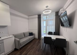 Сдам 1-ком. квартиру, 38 м2, Ростов-на-Дону, улица Бориса Слюсаря, 15с1