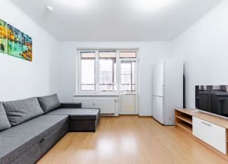 Сдача в аренду квартиры студии, 24.9 м2, Санкт-Петербург, проспект Ветеранов, 169к1