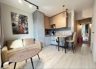 Сдача в аренду квартиры студии, 25.5 м2, Санкт-Петербург, 1-й Предпортовый проезд, 15, Московский район