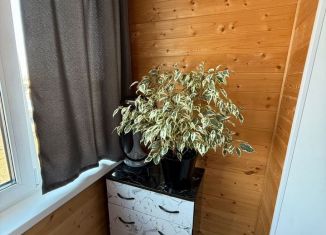 1-ком. квартира на продажу, 36 м2, деревня Хохряки, Тепличная улица, 8