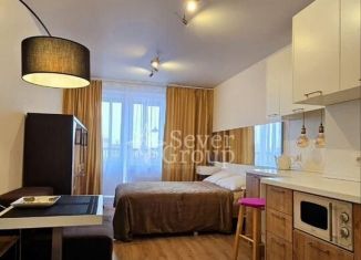 Квартира в аренду студия, 21 м2, Колпино, Загородная улица, 45к3