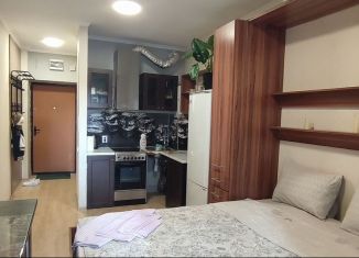 Сдам в аренду квартиру студию, 18.8 м2, Сыктывкар, Тентюковская улица, район Орбита