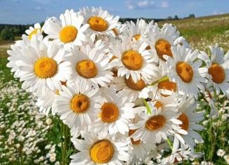 Участок на продажу, 47 сот., Октябрьский, улица Гатиятуллина