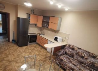 Сдаю в аренду 1-комнатную квартиру, 49 м2, посёлок Мебельной фабрики, Рассветная улица, 5, ЖК Афродита-2