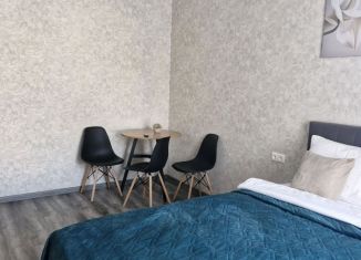 Сдается квартира студия, 20 м2, Сочи, Киевская улица, 12, микрорайон Голубые Дали