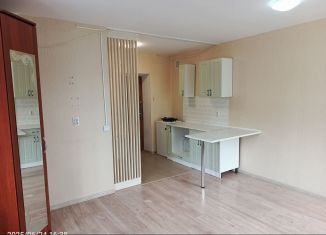 Сдается в аренду квартира студия, 22.2 м2, Кунгур, улица Труда, 43А