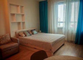 Аренда квартиры студии, 25.3 м2, Мурино, Скандинавский проезд, 8к2, ЖК Эланд