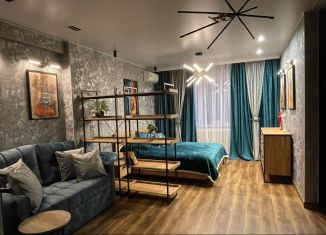 Сдаю в аренду квартиру студию, 45 м2, Владимир, улица Горького, 27