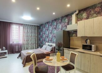 Сдается квартира студия, 30 м2, Татарстан, Чистопольская улица