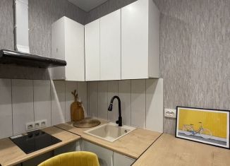 Сдам в аренду однокомнатную квартиру, 34.2 м2, Горно-Алтайск, улица Петра Сухова, 14/2