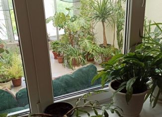 Офис в аренду, 12 м2, Ставрополь, Партизанская улица, 8