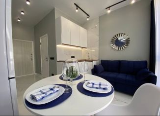 Сдается однокомнатная квартира, 25 м2, Сочи, улица Ленина, 298В