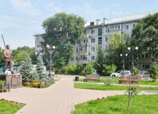 Продам двухкомнатную квартиру, 43 м2, Благовещенск, улица Ленина, 203/3