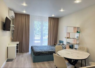 Продается квартира студия, 27.6 м2, Сочи, улица Искры, 88к3