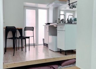 Сдача в аренду квартиры студии, 14 м2, Санкт-Петербург, проспект Обуховской Обороны, 107