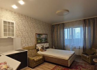 Квартира в аренду студия, 25 м2, Пенза, улица Антонова, 5Г