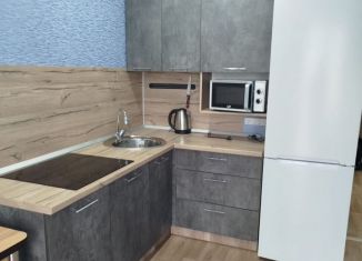 Сдаю 1-комнатную квартиру, 40 м2, Пенза, улица Генерала Глазунова, 6