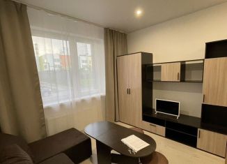 Сдам в аренду квартиру студию, 19 м2, Люберцы, Весенняя улица, 14