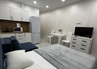 Аренда квартиры студии, 24 м2, посёлок городского типа Дагомыс, Старошоссейная улица, 5к8