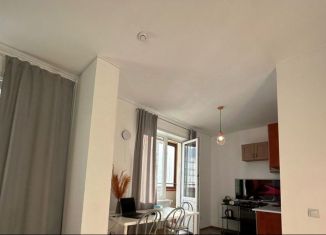 Сдается в аренду квартира студия, 26 м2, Новосибирск, Гурьевская улица, 177/1, Октябрьский район