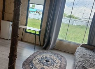 Аренда дома, 24 м2, Республика Алтай, Школьная улица