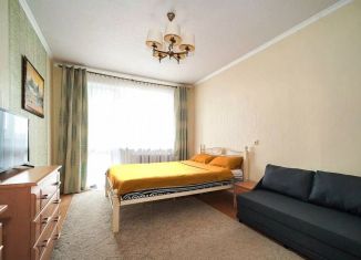 Аренда 1-комнатной квартиры, 40 м2, Ростов-на-Дону, улица 339-й Стрелковой Дивизии, 23/1