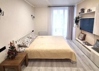 Сдается в аренду квартира студия, 35 м2, Ростов-на-Дону, Элеваторный переулок, 10