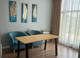 Однокомнатная квартира в аренду, 50 м2, Республика Башкортостан, улица Ленина, 156