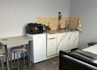 Сдам в аренду квартиру студию, 31 м2, Республика Башкортостан, улица Тагира Кусимова, 1