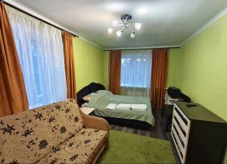 Аренда однокомнатной квартиры, 31 м2, Коломна, улица Ленина, 44