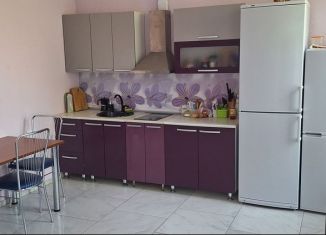 Аренда 1-комнатной квартиры, 50 м2, Ростов-на-Дону, Измаильский переулок, 39А