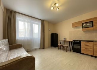 Сдаю квартиру студию, 25 м2, Новосибирск, микрорайон Закаменский, 12, Октябрьский район