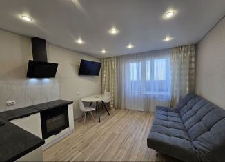 Сдам квартиру студию, 28 м2, Республика Башкортостан, улица Лётчика Кобелева, 1