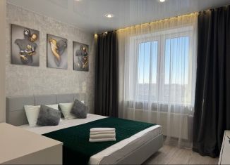 Сдача в аренду 1-комнатной квартиры, 42 м2, Тюмень, улица Республики, 204к7