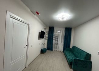 Сдаю 1-комнатную квартиру, 42 м2, Санкт-Петербург, Суздальское шоссе, 22к3, ЖК Новоорловский