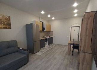 Сдается в аренду квартира студия, 32 м2, Краснодар, улица имени В.Н. Мачуги, 166к2, Карасунский округ