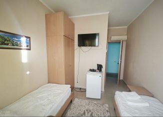 Продам квартиру студию, 12.2 м2, поселок городского типа Николаевка, Чудесная улица, 2/47