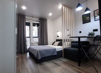 Сдам в аренду квартиру студию, 23 м2, Новосибирск, микрорайон Закаменский, 22, Октябрьский район