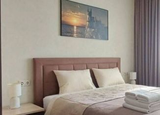 Сдаю в аренду 1-комнатную квартиру, 38.6 м2, Мурино, Ручьёвский проспект, 2, ЖК Авиатор