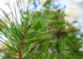 Продается земельный участок, 50 сот., деревня Таганьково